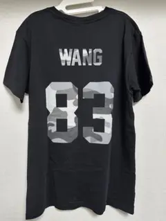 LES(ART)ISTS パロディーT Alexander Wang ブラックS