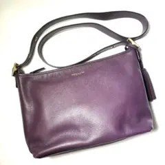 ✨️美品✨️COACH コーチ ショルダーバッグ レザー 25355