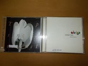 hCD0539　【未確認】　チューリップ　CD2枚セット