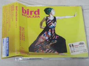 帯付美品 bird/BATUCADA バトゥカーダ