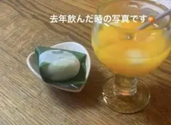 みかんストレートジュース　熟選工房　果汁100%
