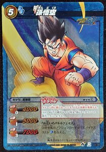 【ドラゴンボールミラクルバトルカードダス】孫悟空(ミラー仕様レア)R 49/86