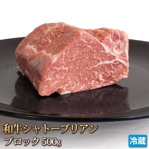 1円【1数】和牛 シャトーブリアン ブロック 500g ヒレ テンダーロイン 肉 牛肉 赤身 ステーキ 焼肉 バーベキュー 贈答 ギフト 1円スタート