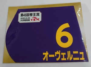 オーヴェルニュ 2023年 帝王賞 ミニゼッケン 未開封新品 和田譲治騎手 平山真希 （株）ＴＳホールディング