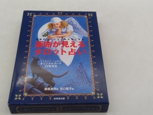 運命が見えるタロット占い オリジナルカード22枚付 美堀真利 店舗受取可