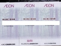 イオン北海道株式会社発行の株主優待券17500円分（100円×175枚）