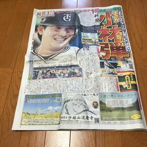 スポーツ報知 報知新聞 令和6年05月11日　巨人　ジャイアンツ　小林誠司　戸郷翔征　吉川尚輝　井上尚弥　小山内美江子　IS:SUE 浅丘ルリ子