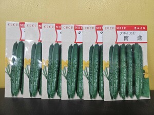 キュウリ種　南進　15粒×6袋　開封品　有効期限切れ