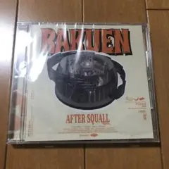 AFTER SQUALL CD