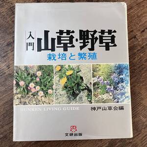 J-2237■入門 山草・野草 栽培と繁殖■神戸山草会/編■文研出版■1980年12月1日 第22刷