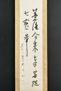 K3635 真作 酒井真典「二行書」紙本 肉筆 高野山大学学長 真言宗別格本山遍照光院 中国 絵画 古画 古美術 掛軸 掛け軸