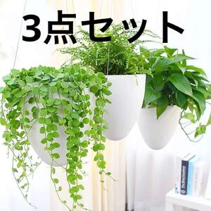 Sungmor 自動吸水植木鉢 小さめ プラスチック おしゃれ つり上げ式 自動