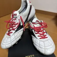 MIZUNO モレリア　25㎝