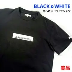 BLACK&WHITE 2022年 半袖 Tシャツ 黒 M メンズ レディース