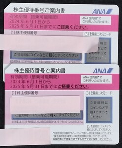 ANA株主優待券 1枚 期限2025/5/31 1枚で片道普通運賃半額 番号通知も可 同一区間予約変更可能 普通郵便送料無料