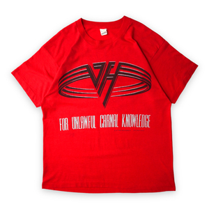 90s Van Halen For Unlawful Carnal Knowledge ツアー Tシャツ ヴァン・ヘイレン vintage ヴィンテージ バンドT アートT Aerosmith ロック