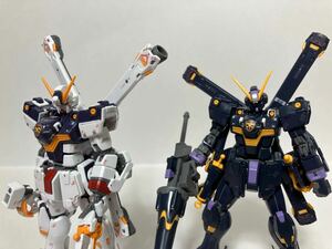 バンダイ RG 1/144 クロスボーンガンダムX1 X2 組立済み セット