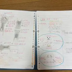 看護学生　解剖見学　ノート