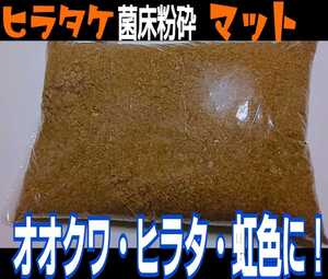 改良版！活きた菌糸マットを発送！甘い良い香りがします！ヒマラヤひらたけ菌床粉砕クワガタマット 瓶に詰めるだけ！初令から羽化までOK！