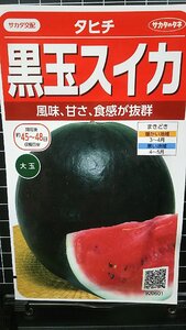 ３袋セット 黒玉 スイカ タヒチ 西瓜 種 郵便は送料無料