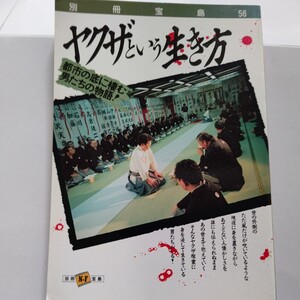 希少 ヤクザという生き方 都市の底に棲む男たちの物語！ 素顔の姐さん 山口組壊滅史 テキ屋の儀式　歌舞伎町縄張り地図 極道の世界ほか多数