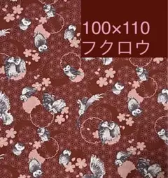 100×110  フクロウ柄　紅色　和柄　綿100%　生地　縁起物　不苦労　新春