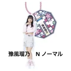 ひなフェス2024 豫風瑠乃　アクリルスタンドキーホルダーN アクスタ