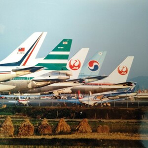 ネ293 飛行機 航空機 旅客機 高麗航空 JAL 大韓航空 デルタ航空 写真 カメラマニア秘蔵品 蔵出し コレクション 6枚まとめて