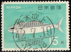 魚介シリーズ　ぶり　使用済　（MY REF.85）