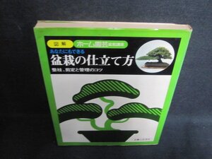 あなたにもできる盆栽の仕立て方　シミ大・日焼け強/UEA