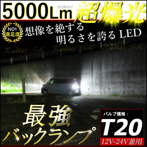 T20 ホワイト 爆光LED 12V 24V 2個 バックランプ ポジション ホワイト ライセンス Radies SK 5000lm モデル キャンバス