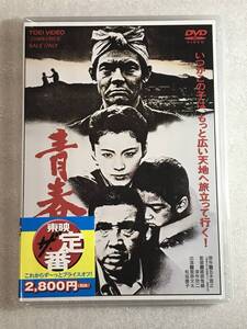 ☆DVD新品☆ 　青春の門 　 菅原文太, 松坂慶子, 渡瀬恒彦, 若山富三郎