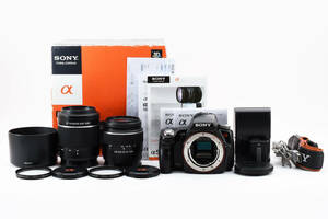 ■美品■ ソニー SONY α55 SLT-A55VY ダブルズームレンズキット 1620万画素《元箱付》 NY-0624-509