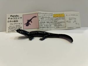 チョコエッグ　日本の動物コレクション　オオダイガハラサンショウウオ