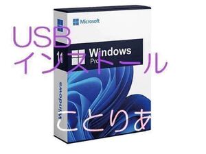 Windows 11 24H2 インストール USBメディア 8GB 以前わたしから購入して 12月更新プログラム受信出来ない方専用 