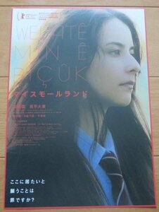 「マイスモールランド」映画チラシ　嵐莉菜　奥平大兼