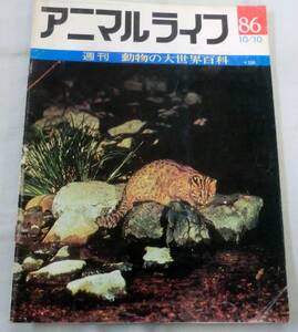 古書◆雑誌◆S47年 週刊アニマルライフ第８６号 ◆ ツシマヤマネコ★ツコツコ★ツタノハ★ツチオオカミ★ツチクジラ★ツチスドリ★