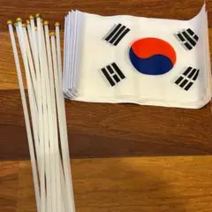韓国国旗 ミニフラッグ 21×14cm 12本セット 応援 文化祭 観戦