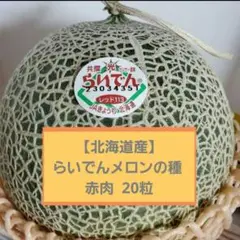 【北海道産】らいでんメロンの種 赤肉 20粒