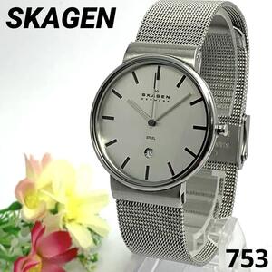 753 稼働品 SKAGEN スカーゲン メンズ 腕時計 シルバー デイト 日付 新品電池交換済 クオーツ式 人気 希少 ビンテージ レトロ アンティーク