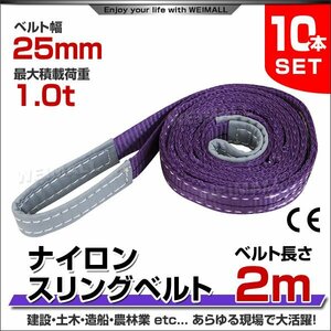 10本セット ナイロンスリングベルト ベルトスリング スリングベルト 1000kg 荷上げ 耐荷重 1t × 2m 幅 25mm