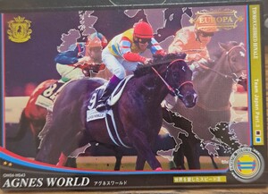 ★競馬カード★オーナーズホース06★サラブレッドロワイヤル★アグネスワールド★主戦 武豊★アベイ・ド・ロンシャン賞(仏GI)1999★