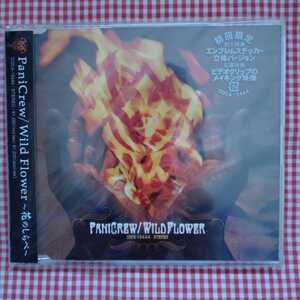 [送料無料]【新品未開封】【初回限定盤】Wild Flower 〜花のしらべ〜/PaniCrew AMP(KOJI IDE & TAKAO KON) G.M-KAZ シライシ紗トリ.が参加