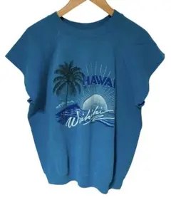 80s USA製 Hanes ノースリーブ スウェット Hawaii ブルー