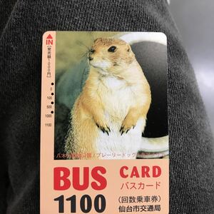 仙台市交通局プレーリードッグバスカード八木山動物園