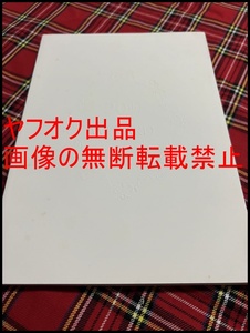 ◎レア◎ZARD(坂井泉水)◎ファンクラブ会報 総集本◎20th ANNIVERSARY WEZARD Vol.01-Vol.50 Special Edition◎