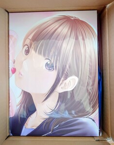 LOVEPLUS Art Book Complete Box ネネ仕様 ポスター付きラブプラス 未使用