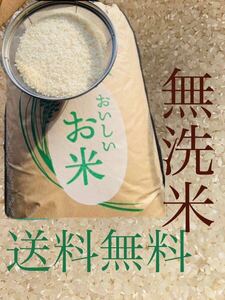 白米 お米 精米 新米 美味しい 美味 無洗米 ご飯　米　10kg 送料無料　令和6年度