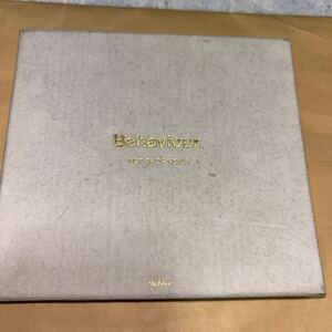 Behaviour.　PET SHOP BOYS　国内　ペットショップボーイズ