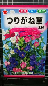 ３袋セット つりがね草 ツリガネソウ カンパニュラ 種 郵便は送料無料